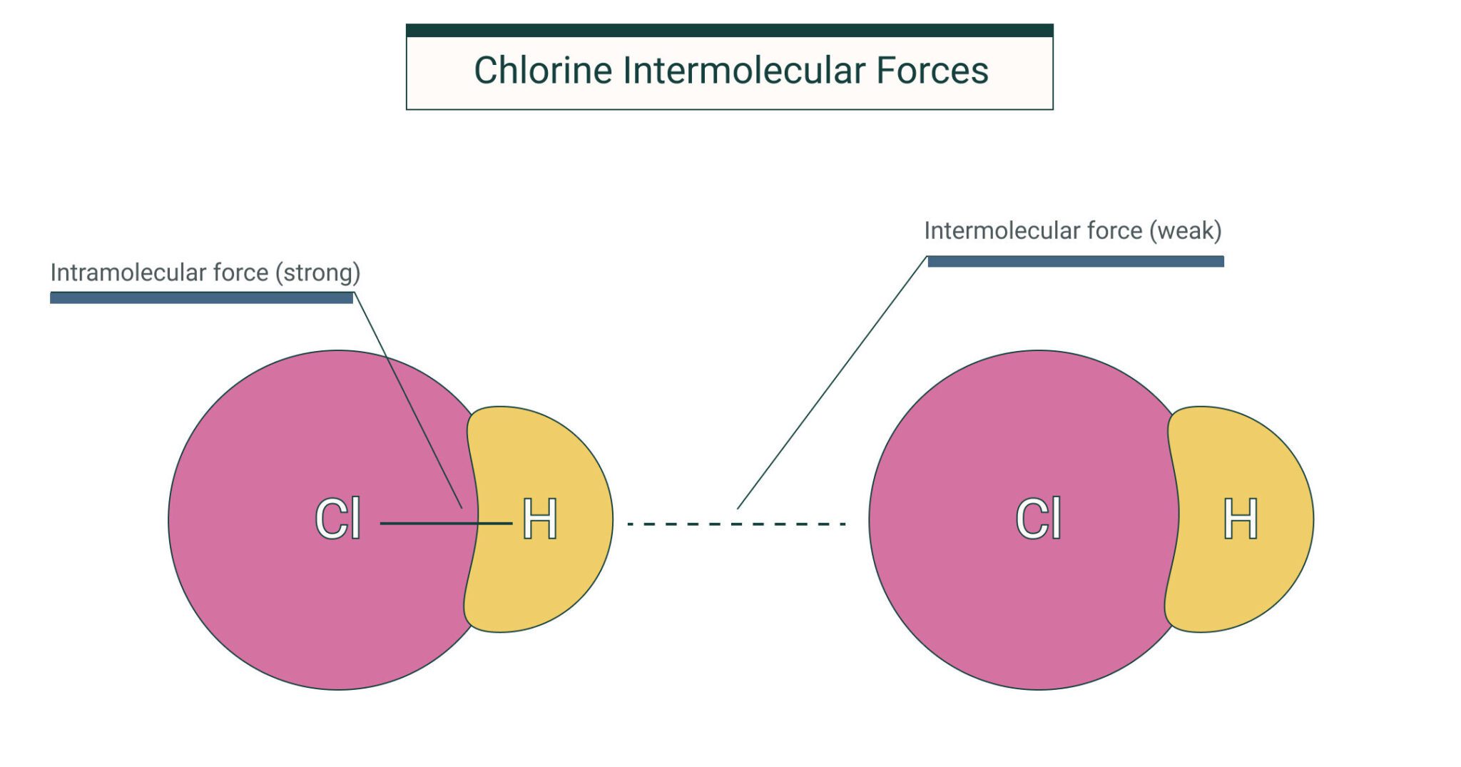 Qué son las fuerzas de van der Waals y cómo funcionan | Escuela Experta